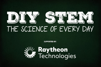 DIY STEM logo